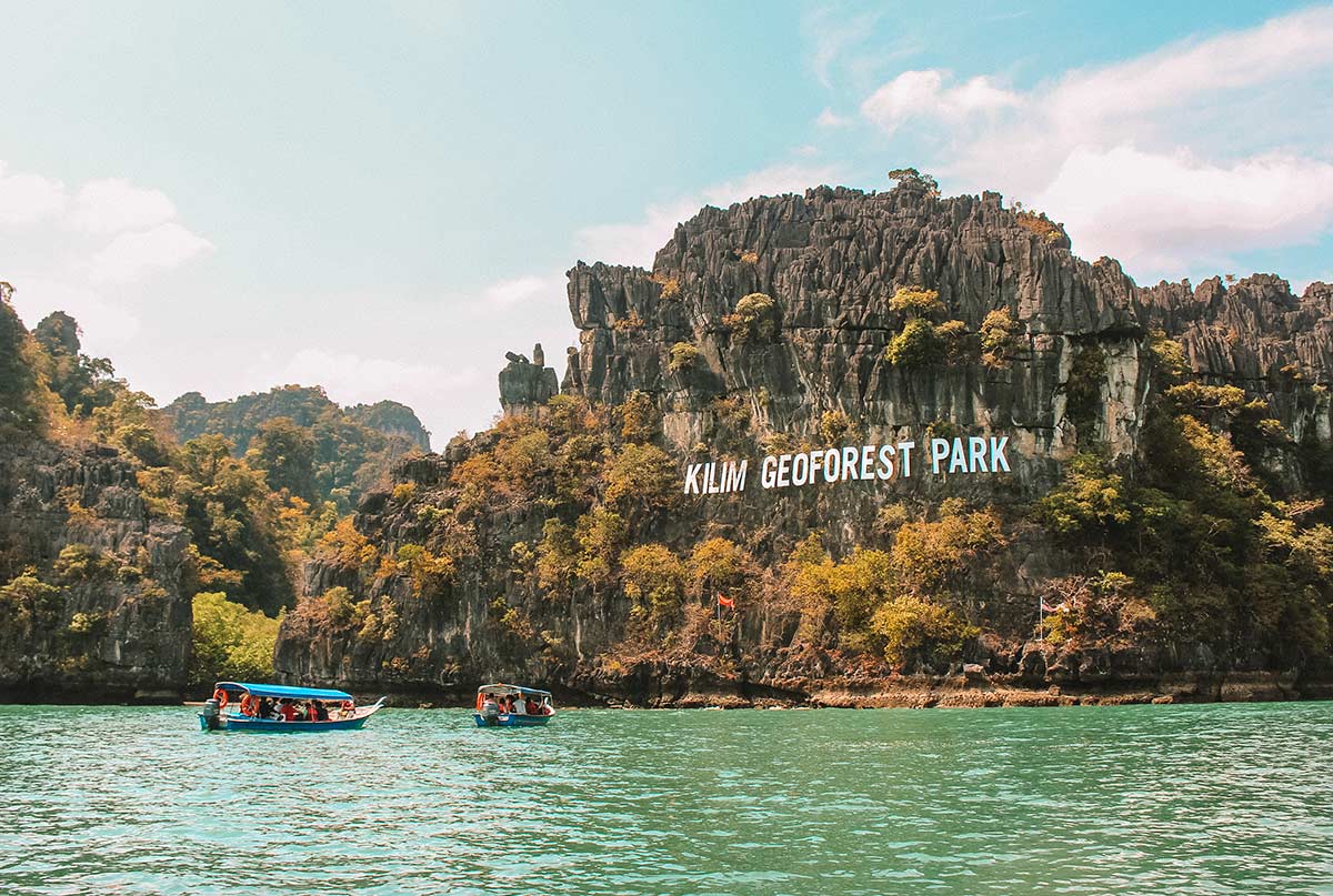 Jelajahi Ekosistem Mangrove yang Eksotis di Mangrove Tour Langkawi